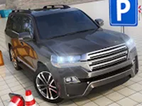 Bmw Driving  amp; Parking image