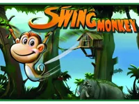 Monkey Swing image