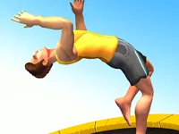 Flip Trickster image