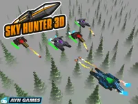 Sky Hunter 3D image