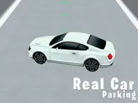 Real Car Parking 3D image